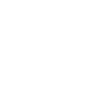 chat icon
